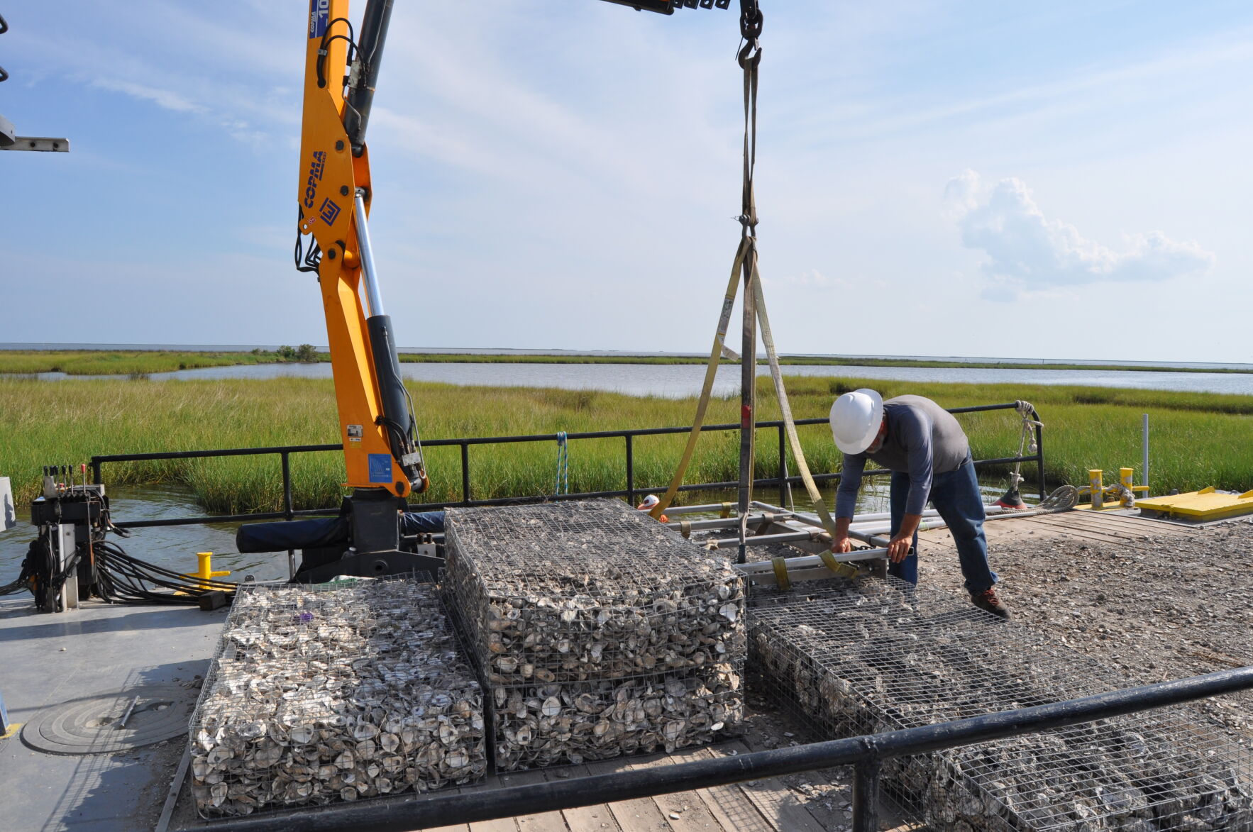 Loading shell cages